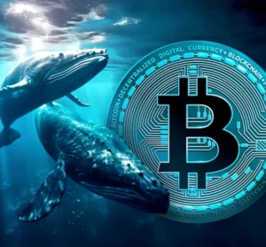 An eventful week in crypto brings mystery, market moves, and bold whale activity across the blockchain landscape. 
